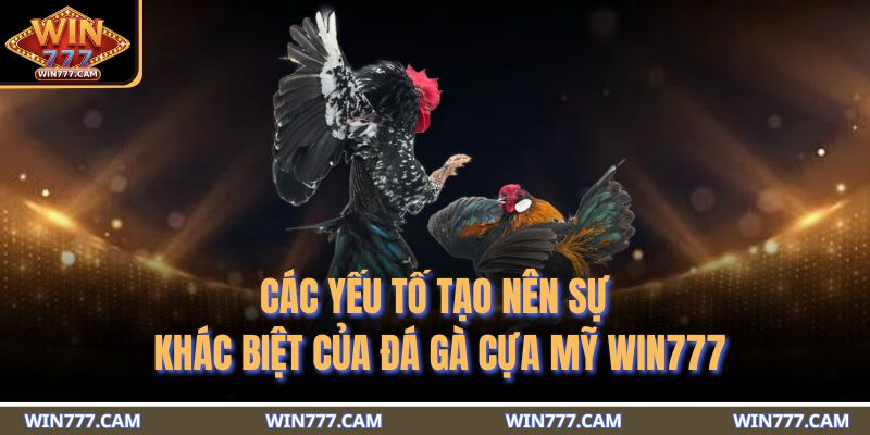 Các yếu tố tạo nên sự khác biệt của đá gà cựa Mỹ WIN777