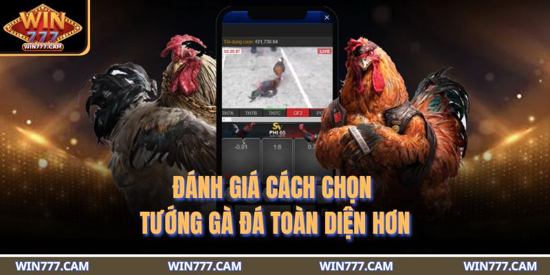 Đánh giá cách chọn tướng gà đá toàn diện hơn