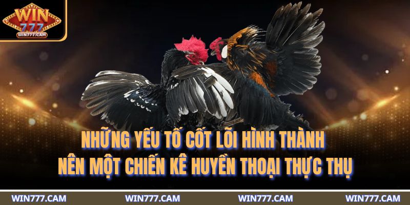 Những yếu tố cốt lõi hình thành nên một chiến kê huyền thoại thực thụ
